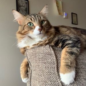 Meet your Posher, Hannah